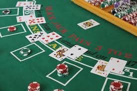 semut togel featured game showcase